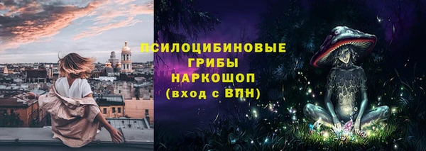 гашиш Богданович