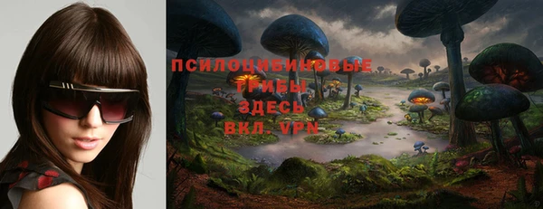 ALPHA-PVP Верхний Тагил